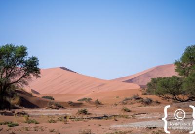 Hot air balloon Sossusvlei dunes early morning Namib Desert Namibia photography