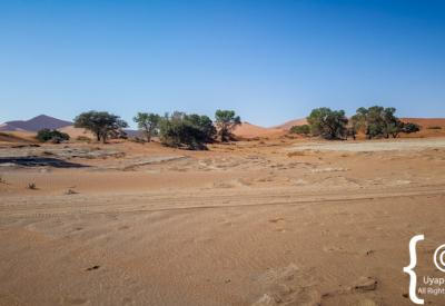 Sossusvlei salt clay pan Namib Naukluft Park Namibia photography