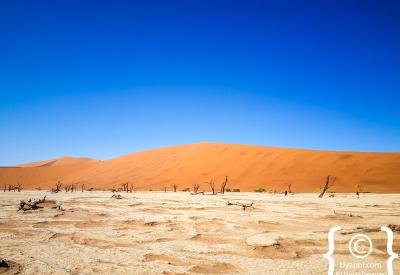 Sossusvlei wide angle dune landscape Namib Naukluft Park Namibia photography