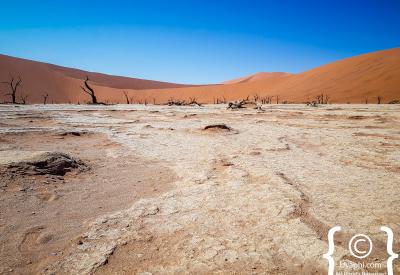 Sossusvlei wide angle dune landscape Namib Naukluft Park Namibia photography