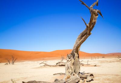 Deadvlei golden hour Sossusvlei Namib Desert Namibia landscape photography