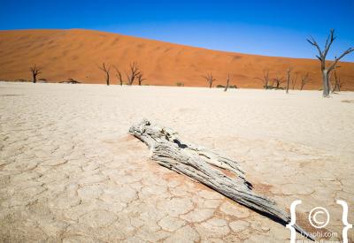 Deadvlei golden hour Sossusvlei Namib Desert Namibia landscape photography