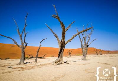Sossusvlei early morning light dune face Namib Desert photography Namibia