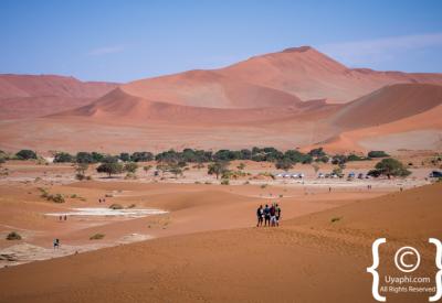 Sossusvlei early morning light dune face Namib Desert photography Namibia