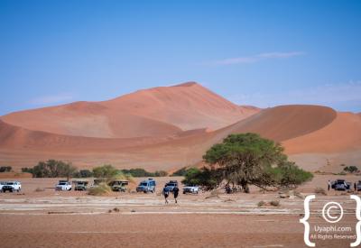 Sossusvlei sand dune abstract texture Namib Desert oldest desert world Namibia