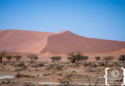 Deadvlei surrounded orange dunes Sossusvlei Namib Desert Namibia photography