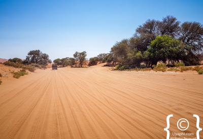 Deadvlei surrounded orange dunes Sossusvlei Namib Desert Namibia photography
