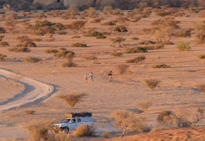 Birdlife Spitzkoppe granite rocks Namibia birding photography outdoor adventure