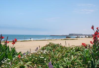 Swakopmund beach Atlantic Ocean Namib Desert backdrop Namibia summer photography