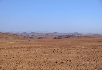 Desert black rhino Torra Conservancy Palmwag Damaraland Namibia rare wildlife photography