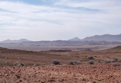 Mountain zebra Torra Conservancy rocky terrain Damaraland Namibia remote photography