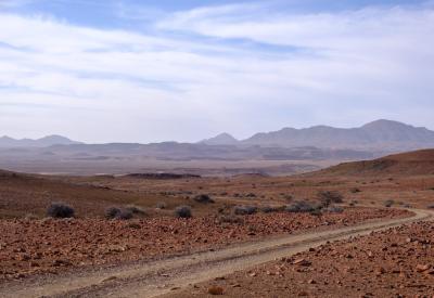 Mountain zebra Torra Conservancy rocky terrain Damaraland Namibia remote photography