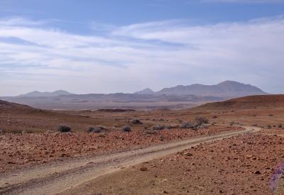Mountain zebra Torra Conservancy rocky terrain Damaraland Namibia remote photography