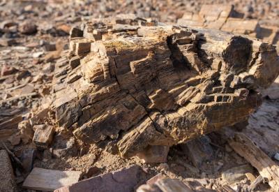Torra Conservancy remote desert tracks adventurous only Damaraland Namibia photography