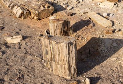 Torra Conservancy remote desert tracks adventurous only Damaraland Namibia photography