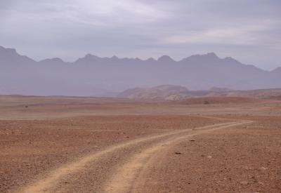 Kudu Torra Conservancy dense bush Damaraland Namibia remote wildlife photography
