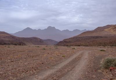 Kudu Torra Conservancy dense bush Damaraland Namibia remote wildlife photography