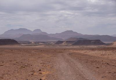 Torra Conservancy dry watercourse desert vegetation Damaraland Namibia remote photography