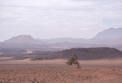Torra Conservancy adventurous only convoy required 3500km² remote Damaraland Namibia