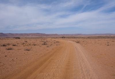 Desert-adapted elephant Torra Conservancy Damaraland Namibia rare sighting photography