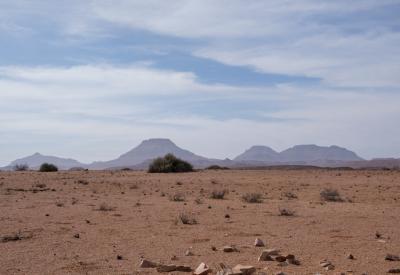 Desert-adapted elephant Torra Conservancy Damaraland Namibia rare sighting photography