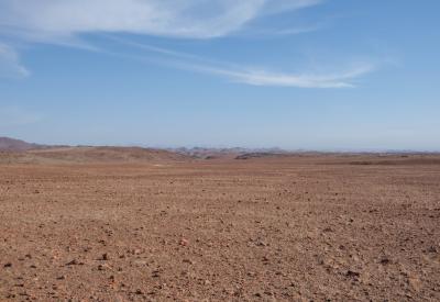 Desert-adapted elephant Torra Conservancy Damaraland Namibia rare sighting photography