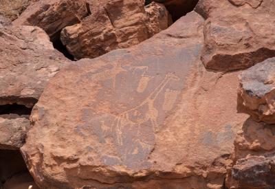 Twyfelfontein rock petroglyph close-up detail 2000 years old Damaraland Namibia UNESCO