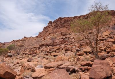 Twyfelfontein human footprint handprint rock engravings Damaraland Namibia UNESCO