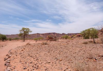 Twyfelfontein San Bushman place of worship ritual 6000 years inhabited Damaraland Namibia