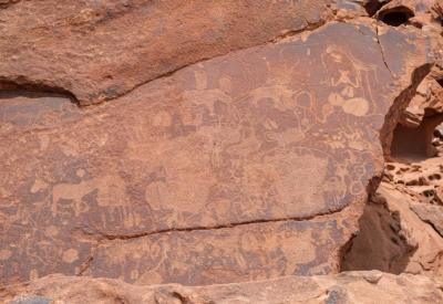 Twyfelfontein elephant rhino petroglyphs rock art Damaraland Namibia UNESCO World Heritage