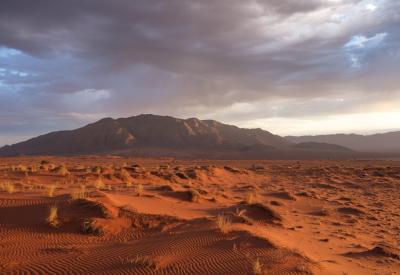 Wolwedans Dune Camp NamibRand Nature Reserve ancient dune landscape Namib Desert Namibia