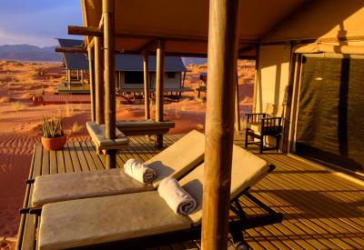 Wolwedans Dune Camp desert wildlife NamibRand Nature Reserve Namib Desert Namibia