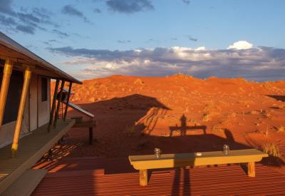 Wolwedans Dune Camp desert wildlife NamibRand Nature Reserve Namib Desert Namibia