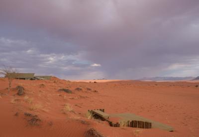 Wolwedans Dune Camp birdlife NamibRand Nature Reserve Namib Desert Namibia photography