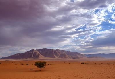 Wolwedans Dune Camp birdlife NamibRand Nature Reserve Namib Desert Namibia photography