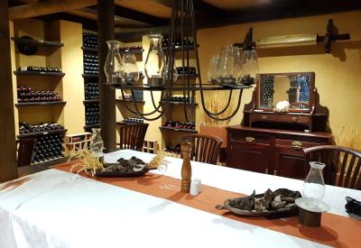 Wolwedans Dunes Lodge desert wildlife NamibRand Nature Reserve Namib Desert Namibia