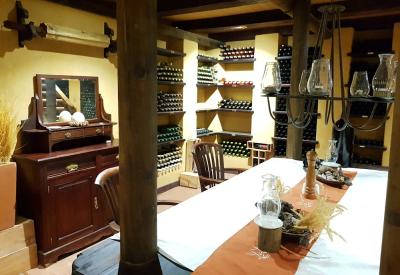 Wolwedans Dunes Lodge desert wildlife NamibRand Nature Reserve Namib Desert Namibia