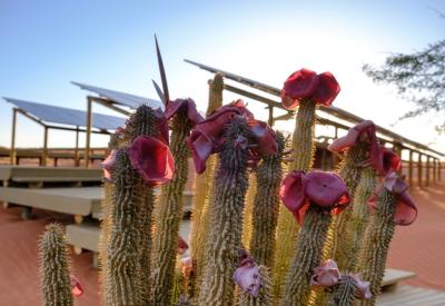 Wolwedans Dunes Lodge central guest area spectacular dune views NamibRand Namibia