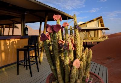 Wolwedans Dunes Lodge central guest area spectacular dune views NamibRand Namibia