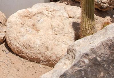 Solitaire Namibia Photos