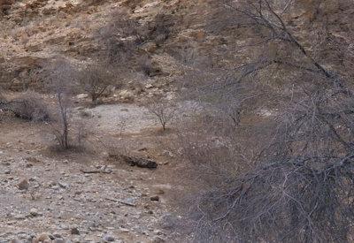 BullsPort Rock Arch Photos