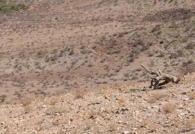 BullsPort Rock Arch Photos