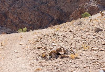 BullsPort Rock Arch Photos