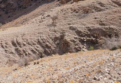 BullsPort Rock Arch Photos