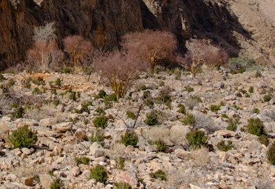 BullsPort Rock Arch Photos