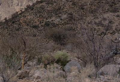 BullsPort Rock Arch Photos