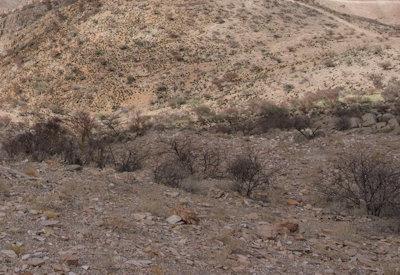 BullsPort Rock Arch Photos