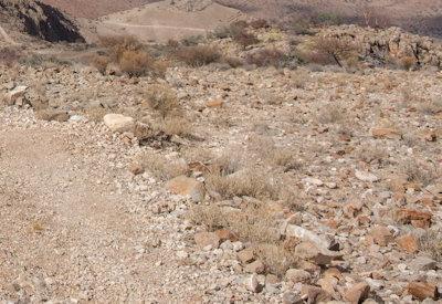 Images of BullsPort Rock Arch