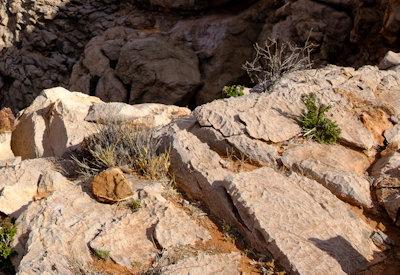 Images of BullsPort Rock Arch