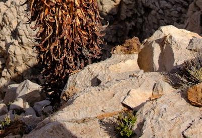 Images of BullsPort Rock Arch